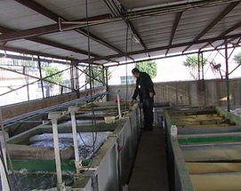 東莞工業廢水處理公司,重慶電鍍污水處理工程價格及規格型號