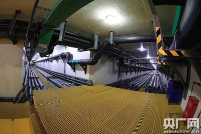 全國(guó)農(nóng)廣采訪團(tuán)走進(jìn)天津靜海:綠色轉(zhuǎn)型帶來(lái)新動(dòng)能